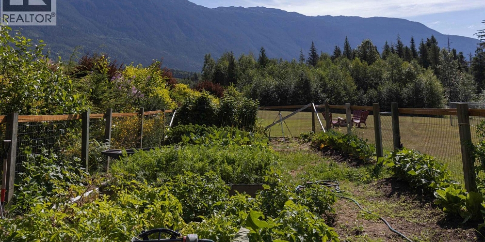 1920 LAUREL STREET Terrace Photo 33 1920 LAUREL STREET Terrace Photo 33